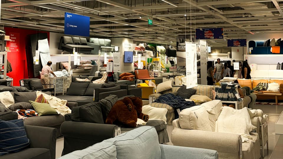Many sofas displayed in a large furniture store