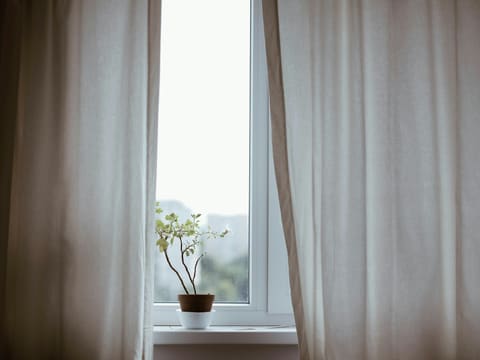 potted plant on window with curtain