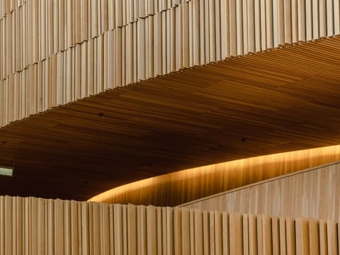 Decorative Wall Panels (WPC, PVC, Bamboo Fibre): a wooden ceiling with a light