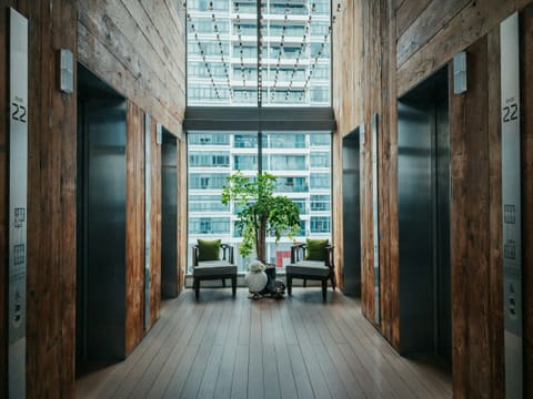 Elevators & Dumbwaiters: brown wooden door near green potted plant