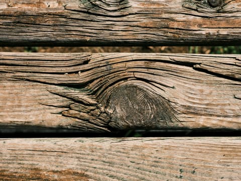 Laminate: a close up of a wooden fence with a bird perched on top of it