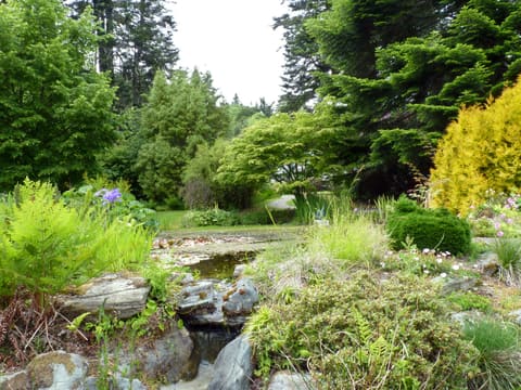 Landscape Features, Fountains & Planters: a pond surrounded by trees and plants