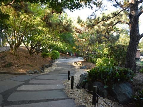 Natural Stone Paving: a winding stone path through a lush green garden