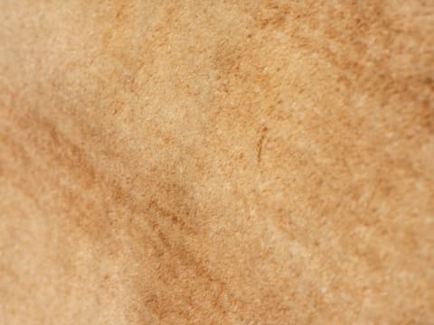 Rugs & Carpets: a close up view of a wooden surface