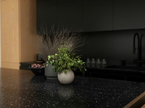 Sintered Stone: a vase with green plants on a speckled countertop