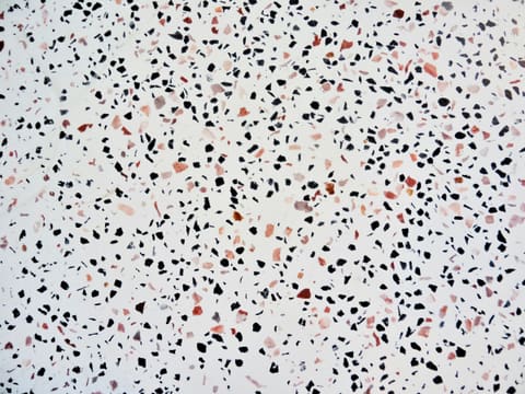 a white background with black and red spots
