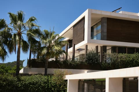 A modern, luxurious house sits among palm trees